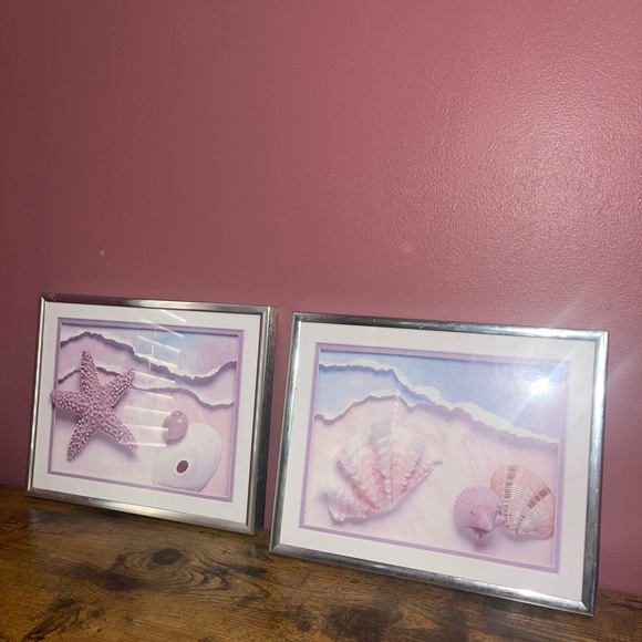 Sea Shell prints frames - Picture 12 of 12